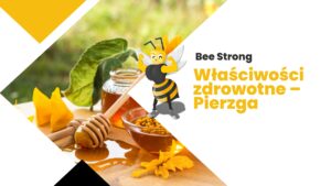 Właściwości zdrowotne – Pierzga