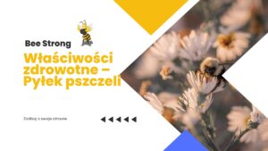 Właściwości zdrowotne – Pyłek pszczeli